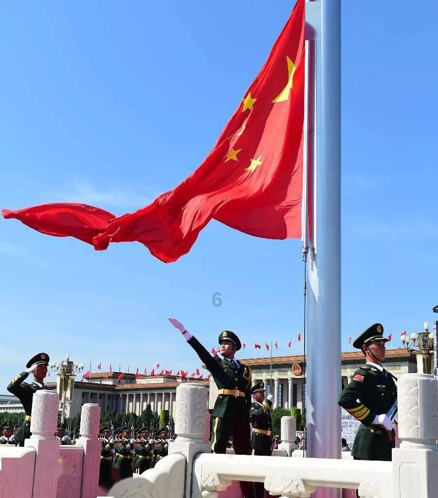 兔子和猫能一起养吗？-专业问答网站